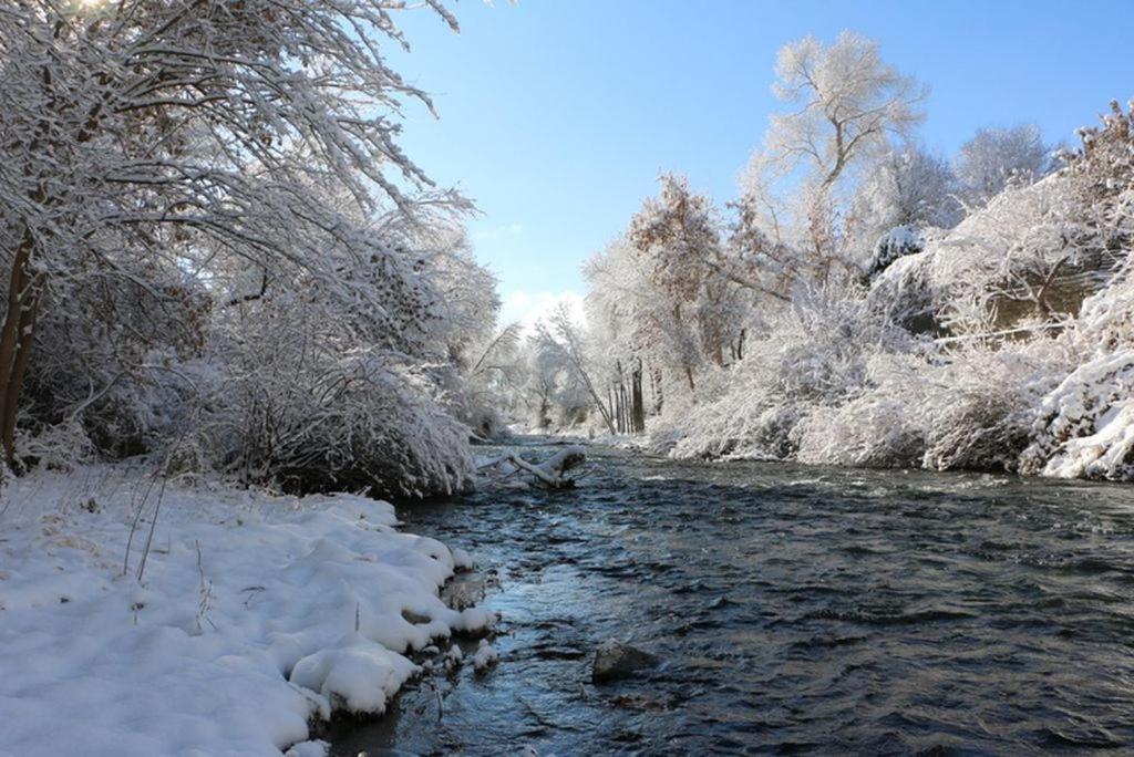 Riverbottoms 1-Acre Estate On The Provo River 외부 사진